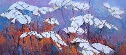 Cow Parsley | 2025 | Oil on Canvas | 30 x 40 cm